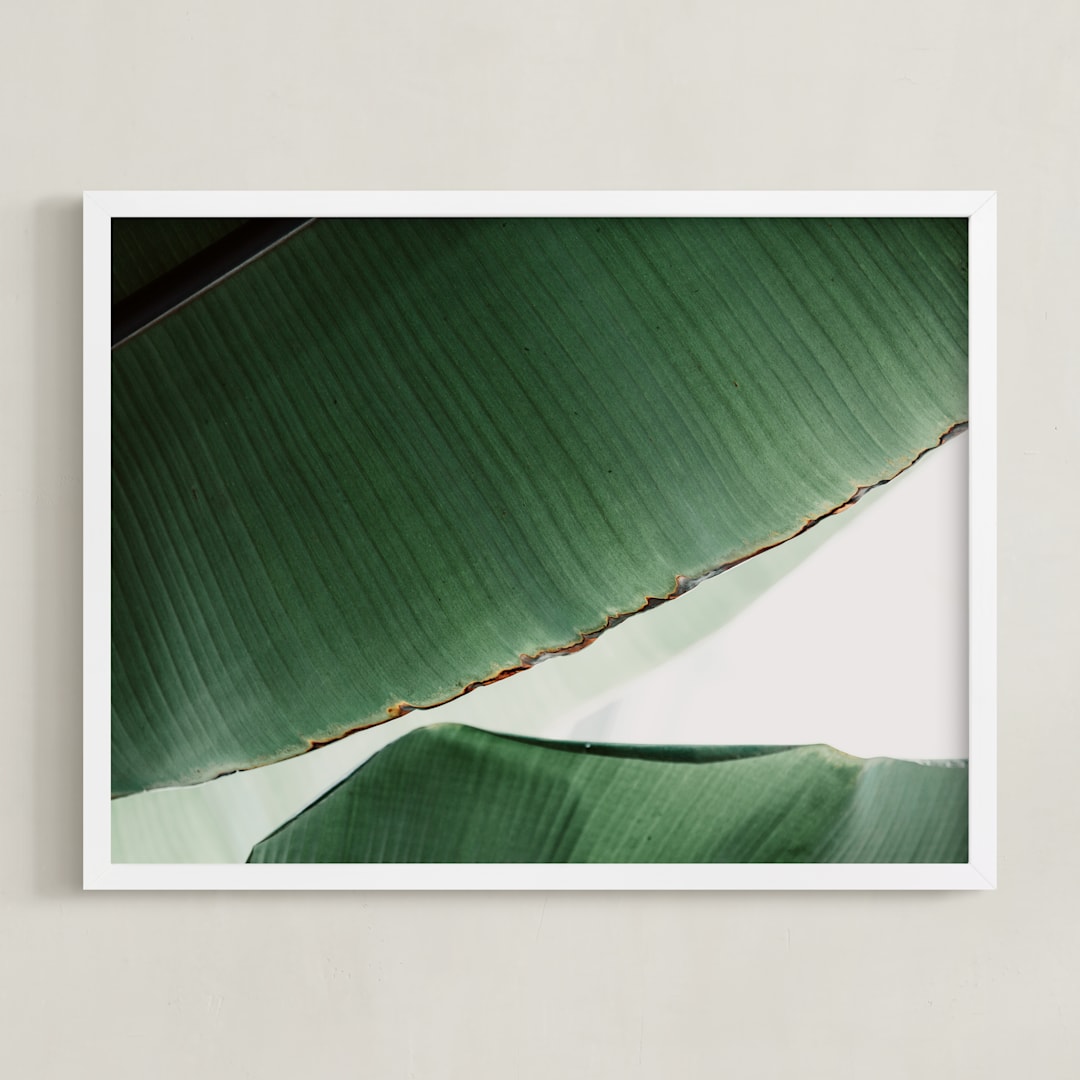 "leaf & light 1" - Art Print in deep ocean green by Alicia Abla - Framed