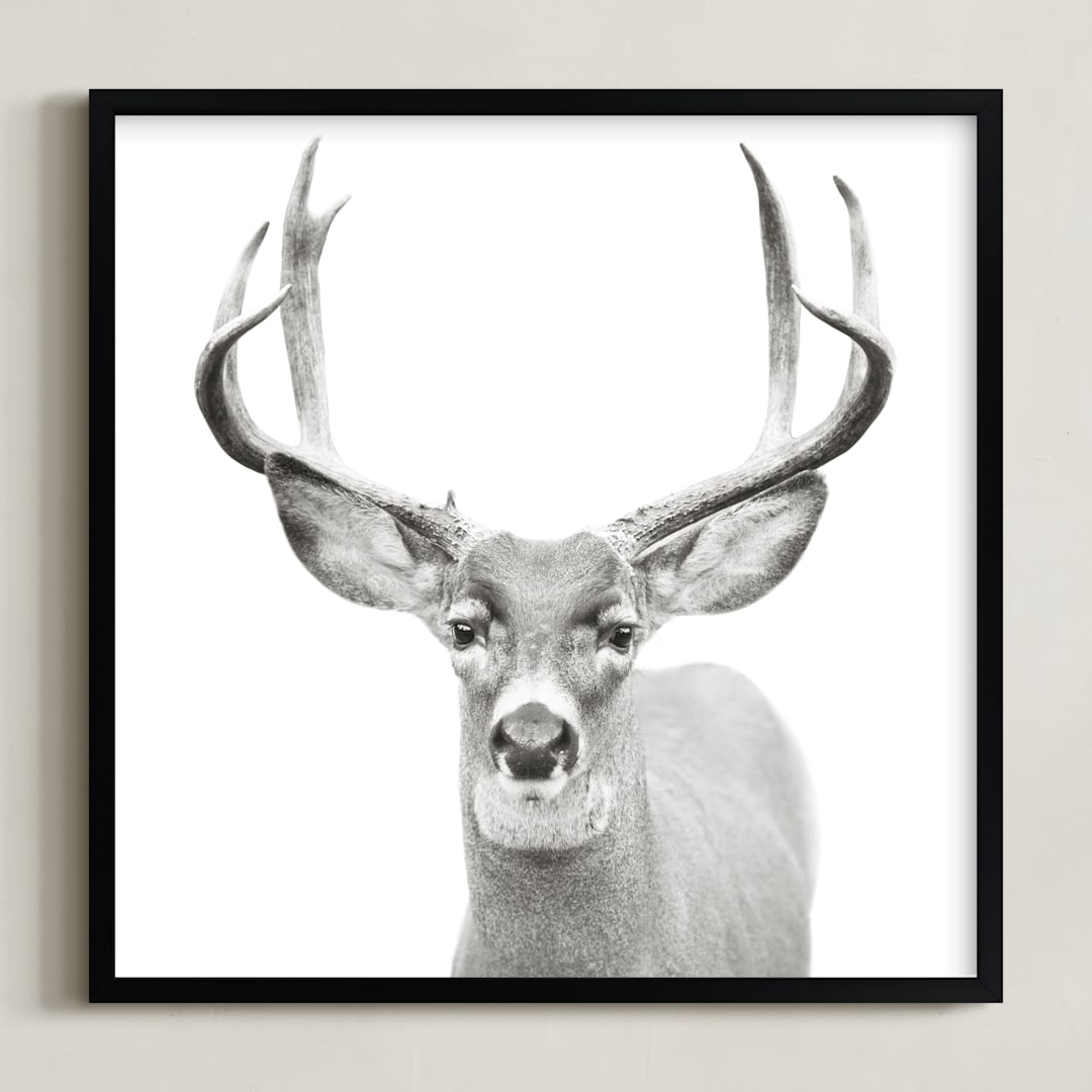 "Buck" - Art Print in Black and White by Stephanie Sherman - Framed