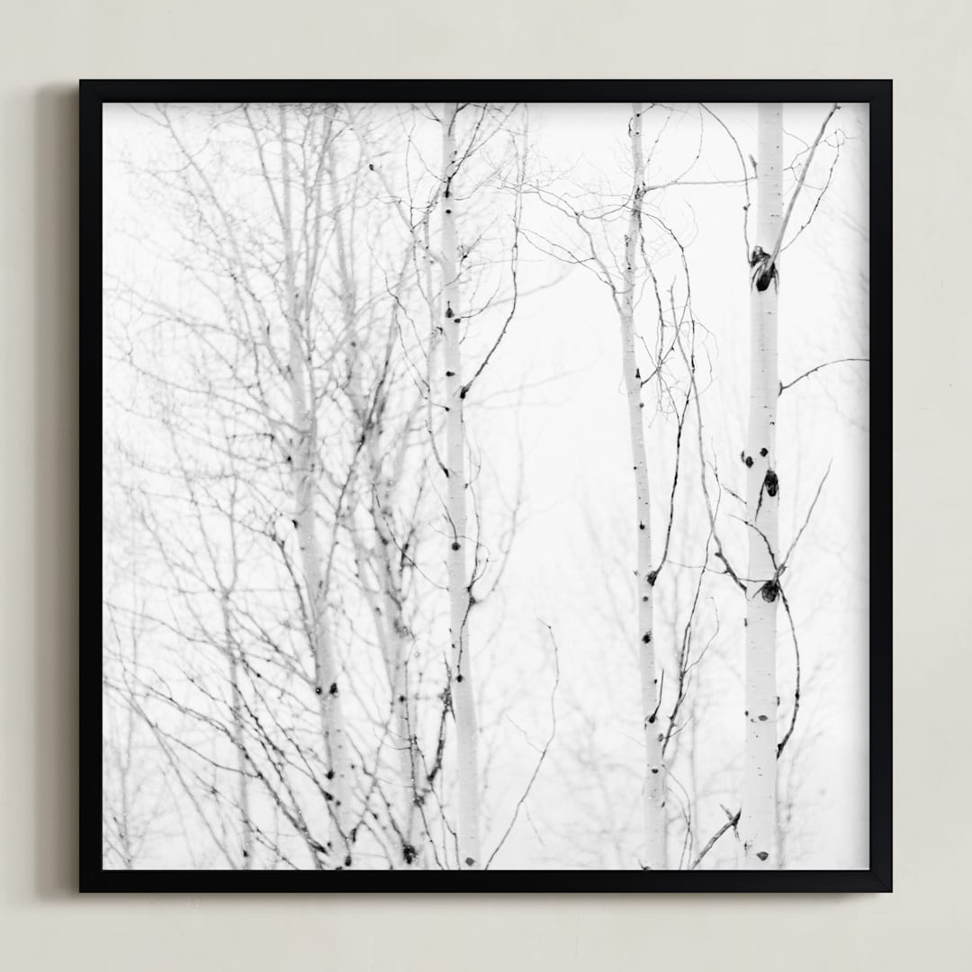 "White Aspens" - Art Print in Black and White by Jessica C Nugent - Framed
