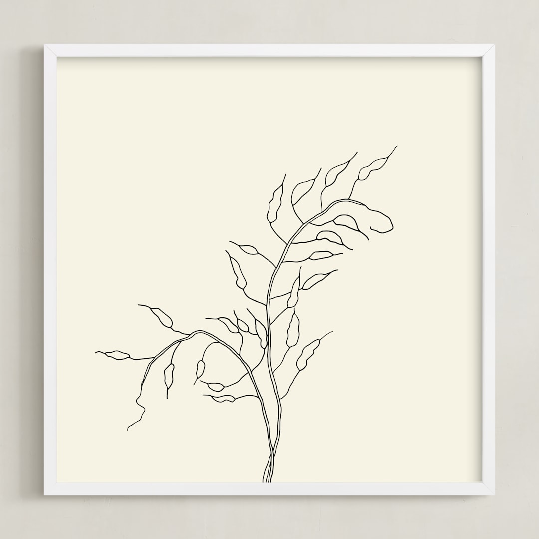 "Wild Radish" - Art Print in charcoal on ivory by Jorey Hurley - Framed