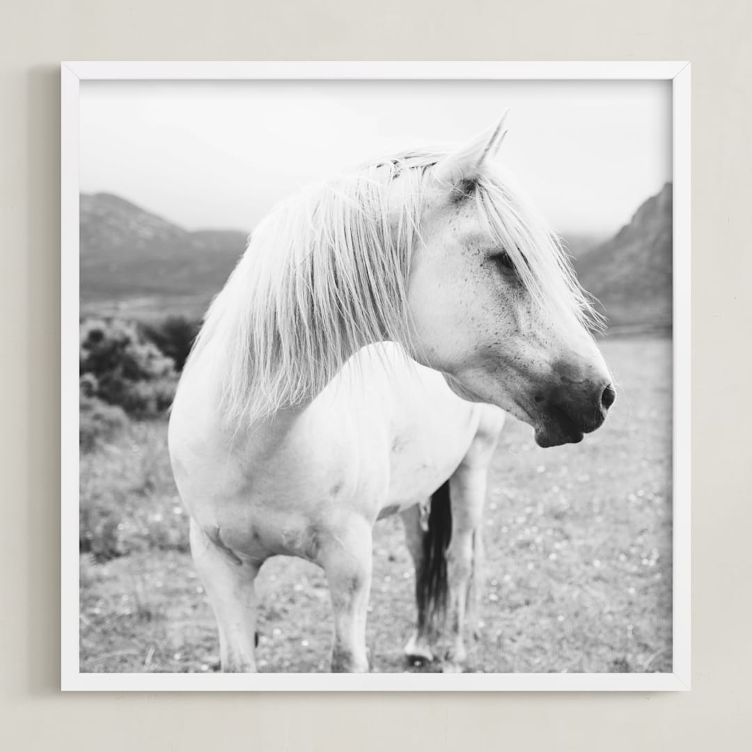 "Field Horse" - Art Print in Black and White by Natalie Uprichard - Framed