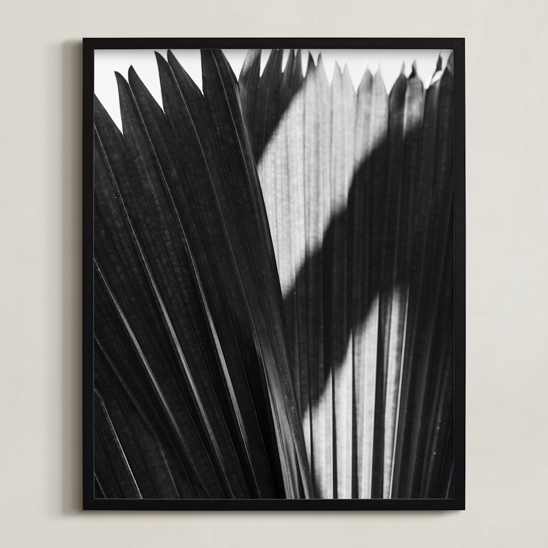 "Palmery 2" - Art Print in Black and White by Catherine Culvenor - Framed