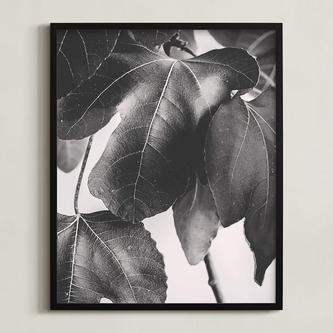 "Gather & Gaze" - Art Print in Matte Black by Alicia Youngken - Framed