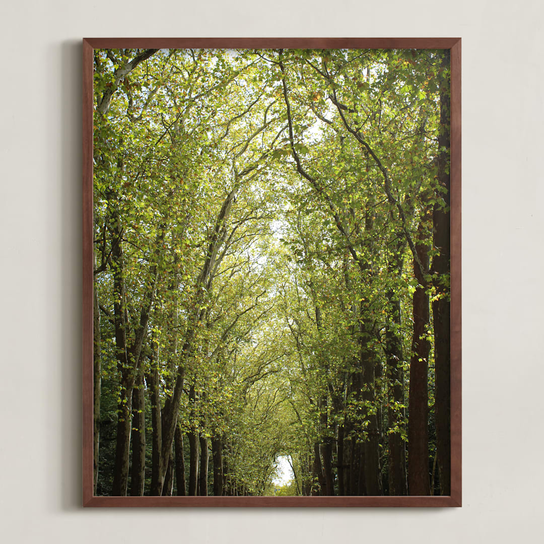 "Canopy of Trees" - Art Print in Green by Eric Clegg - Framed
