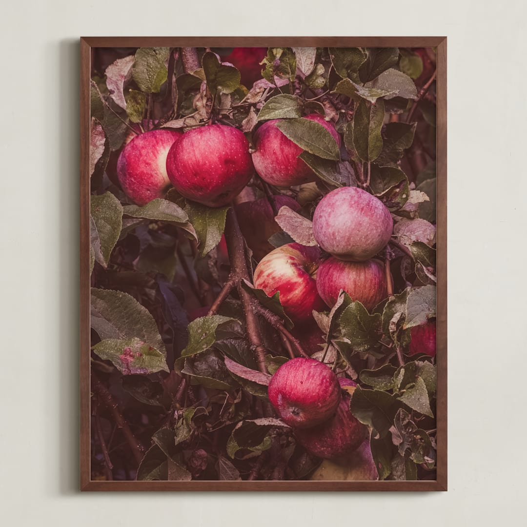 "Apple Season" - Art Print in Ripe Red by Justine Bicknell - Framed