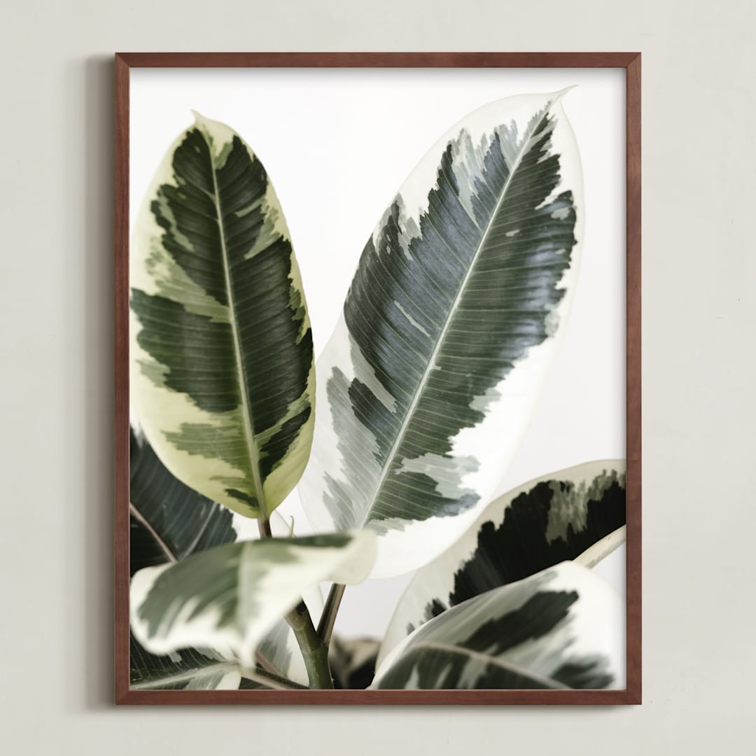 "Jack" - Art Print in variegated green by Kristi Jackson - Framed