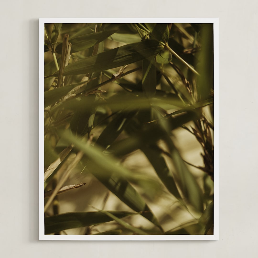 "Bamboo Breeze" - Art Print in Bamboo Green by Katie Buckman - Framed