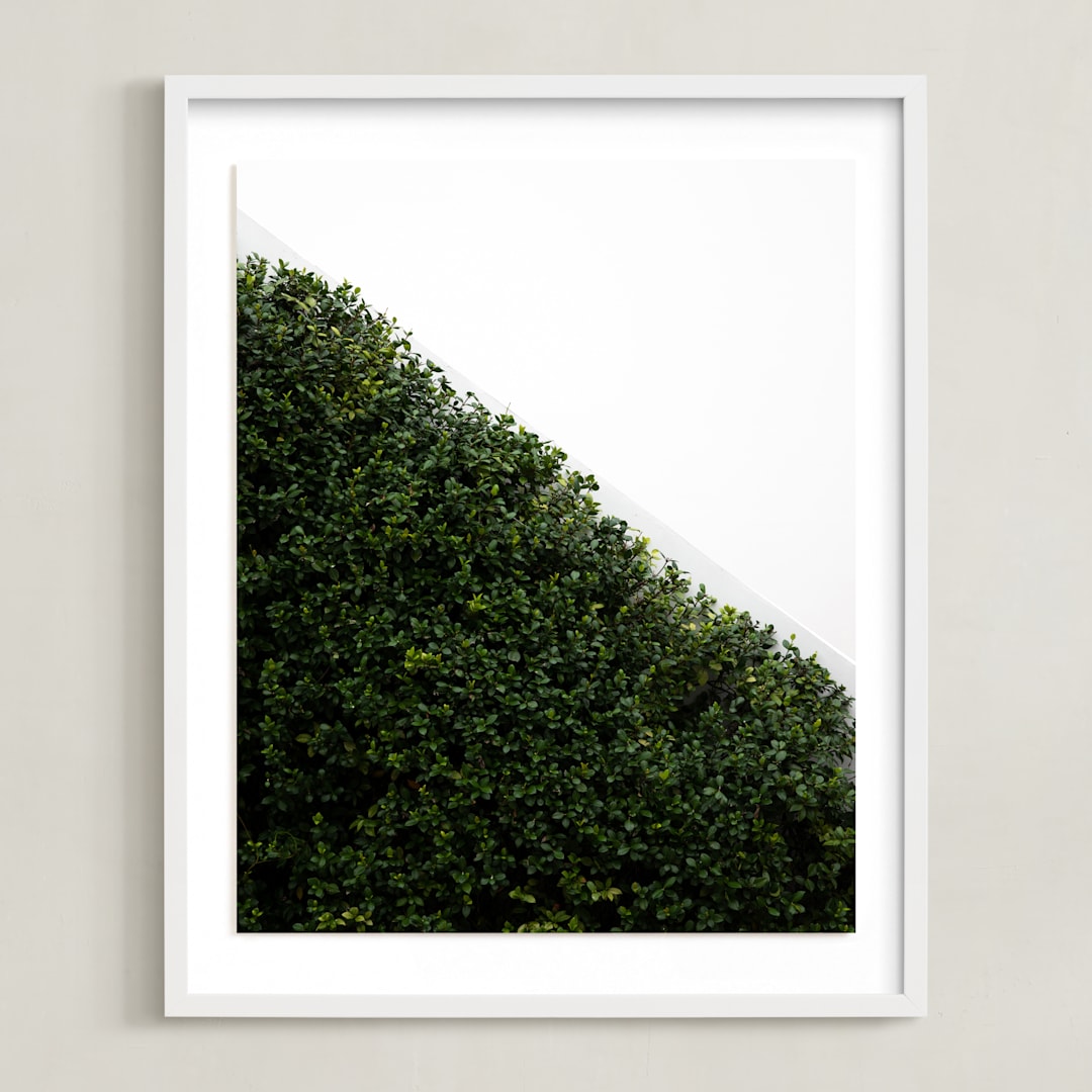"verdant garden I" - Art Print in leaf by Sara Hicks Malone - Framed