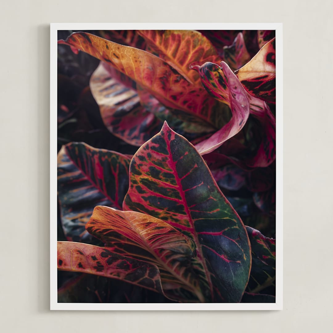 "shaded 1" - Art Print in color by Kamala Nahas - Framed