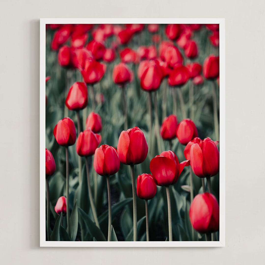"Red Tulips" - Art Print in Red by Lucila Naves - Framed