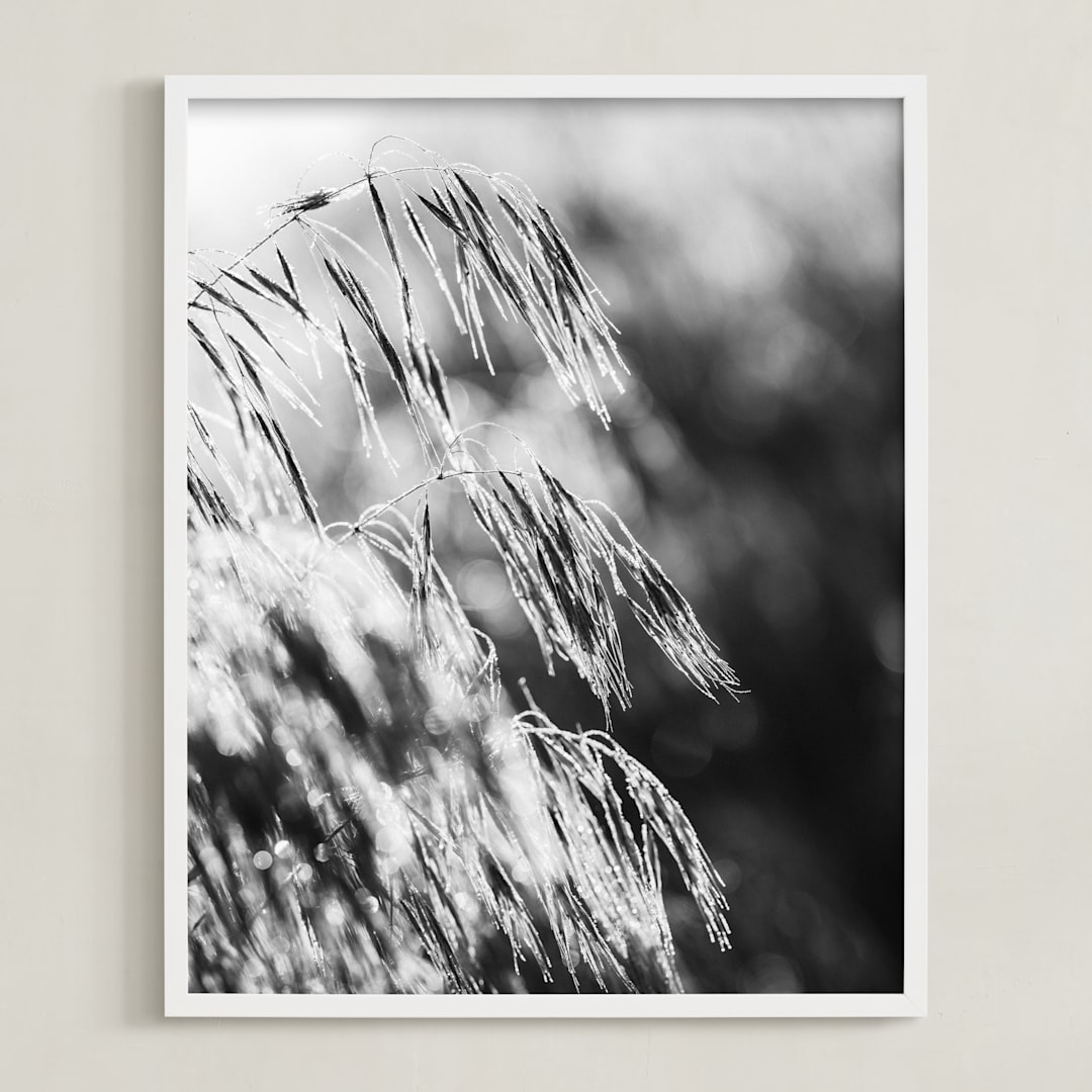 "Dancing grass II" - Art Print in Shadow by Magdalena Kucova - Framed