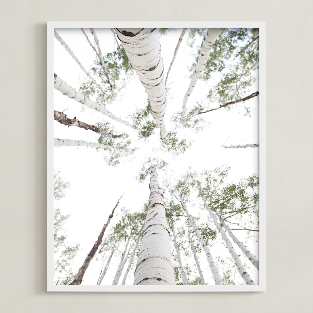 "Aspens at Altitude" - Art Print in Wonderfully White by Kaleb Nimz - Framed