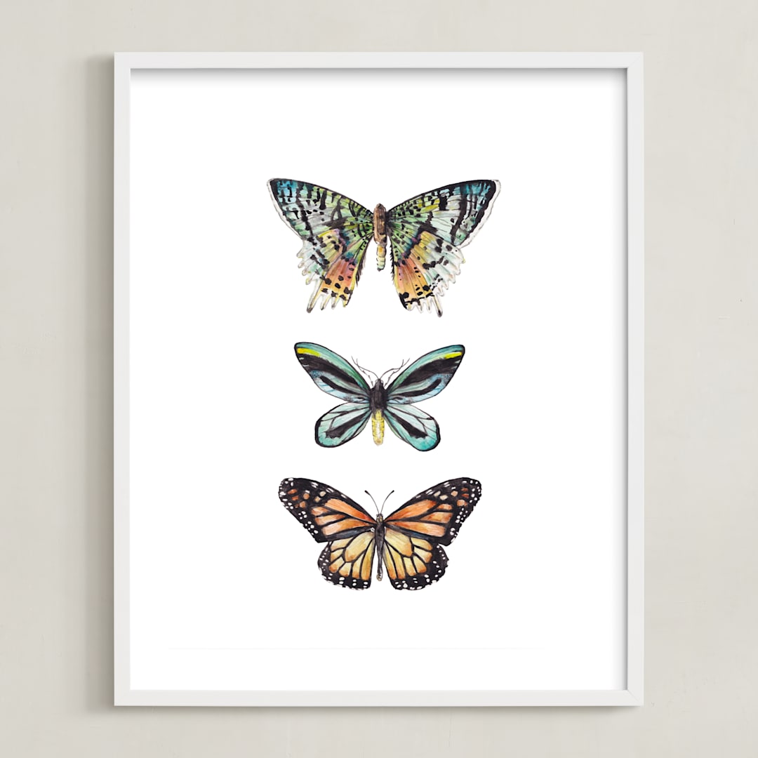 "Butterfly Colorful Watercolors" - Art Print in Butterfly wing black by Lauren Rogoff - Framed