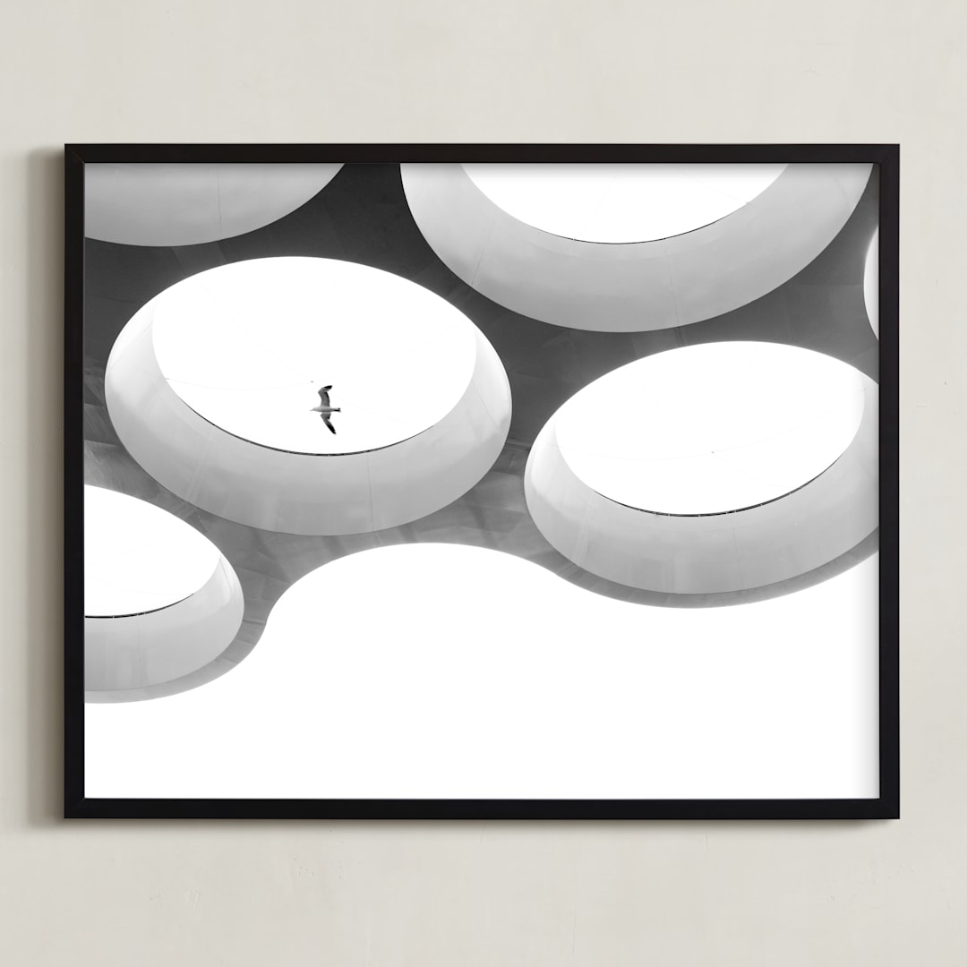 "In Flight" - Art Print in Black & white by Angie McMonigal - Framed