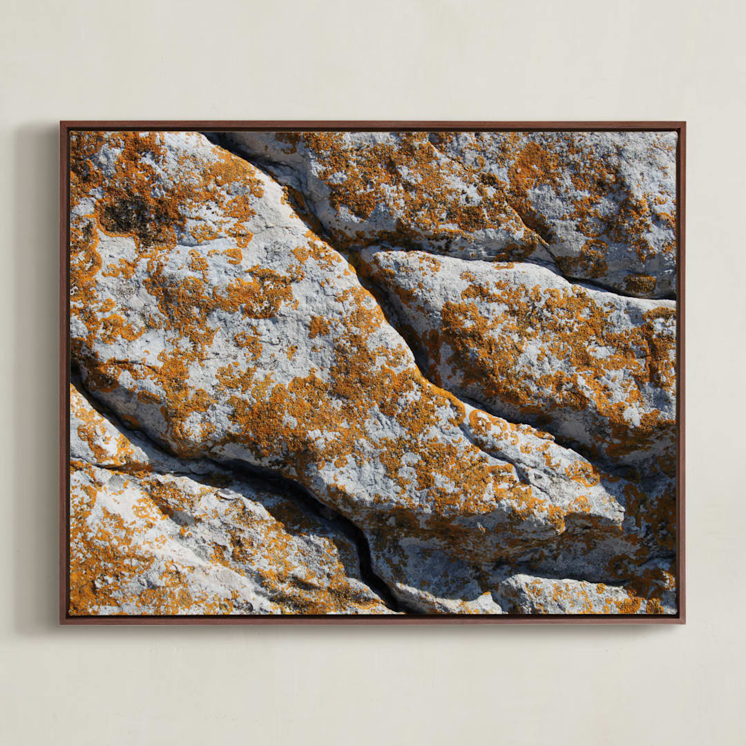 "Mediterranean Lichen" - Art Print in curcuma by Christiana Petschallies - Framed Canvas