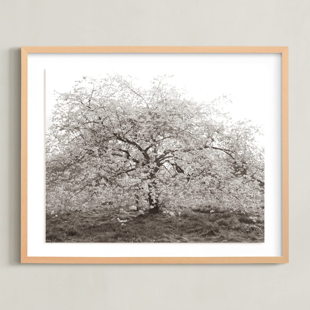 "bloom I" - Art Print in blossom by Sara Hicks Malone - Framed