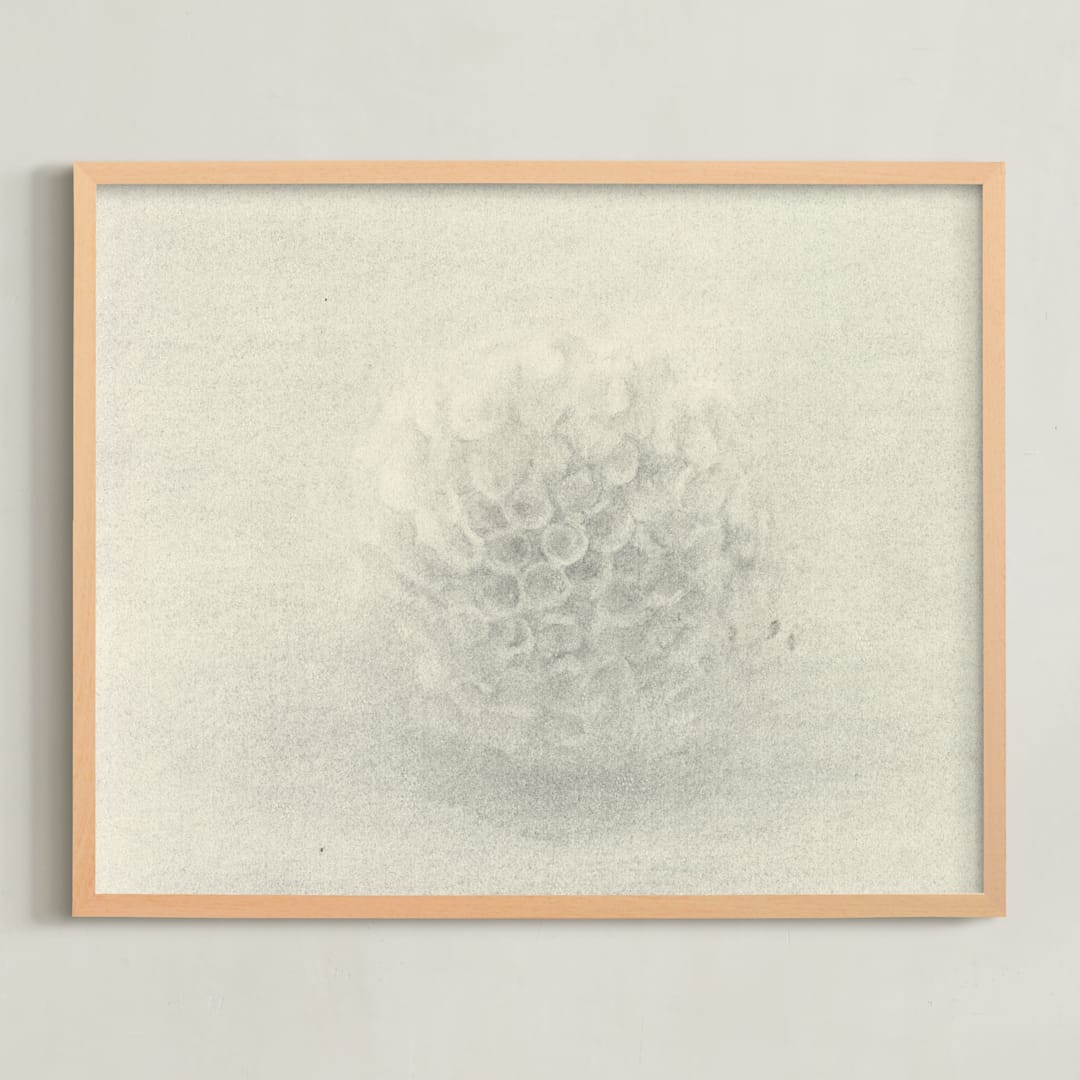 "Sea Urchin" - Art Print in ivory creamy grey by Elisabeth Larson - Framed