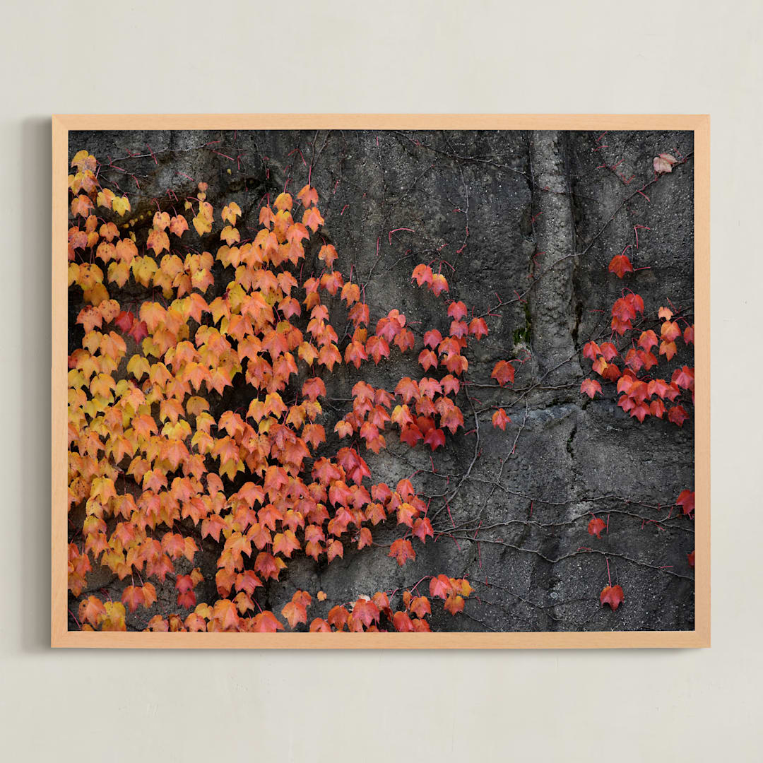 "Fall Wall" - Art Print in Burnt orange by Johanna Phillips Huuva - Framed