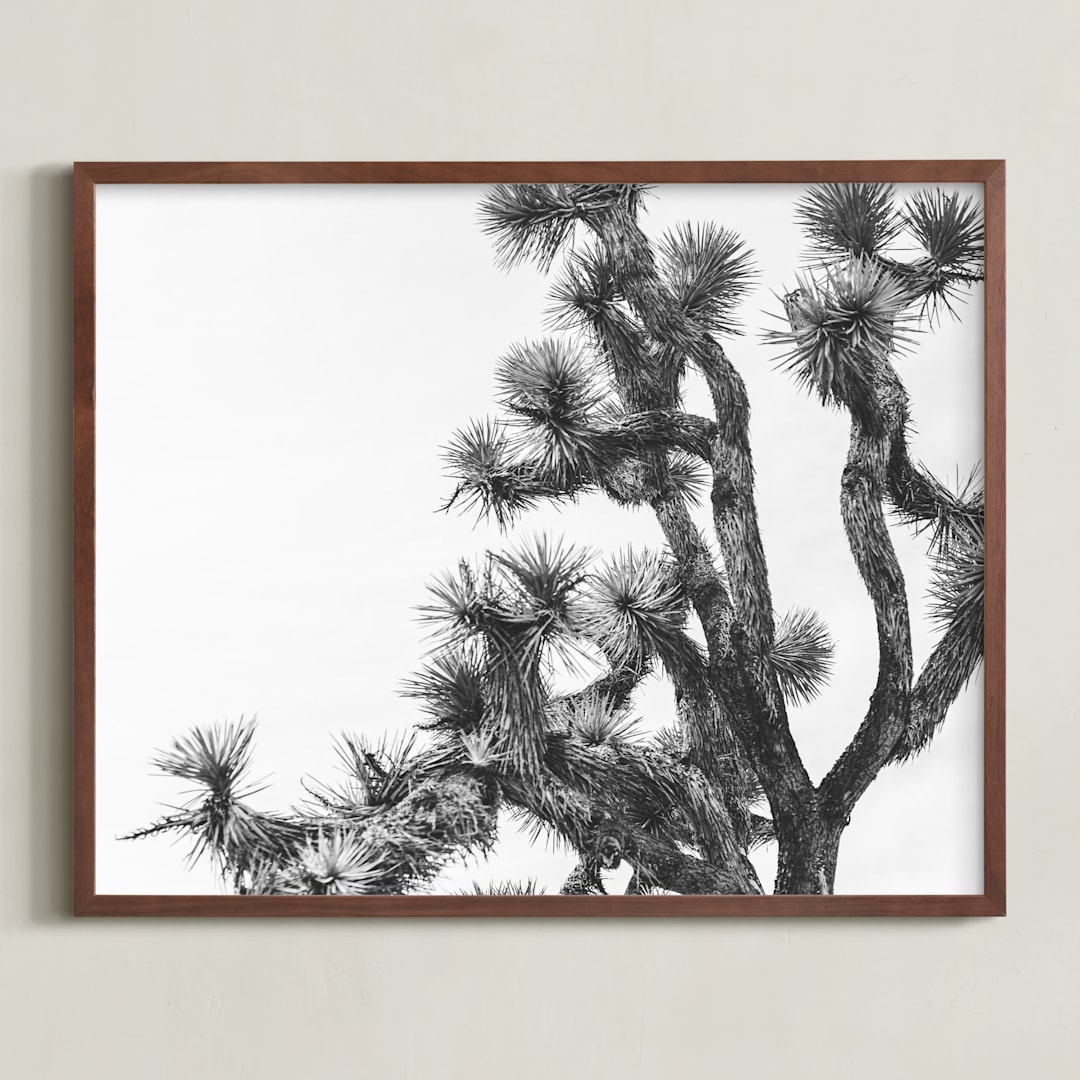 "Joshua Tree in September" - Art Print in Charcoal by Katie Doherty - Framed