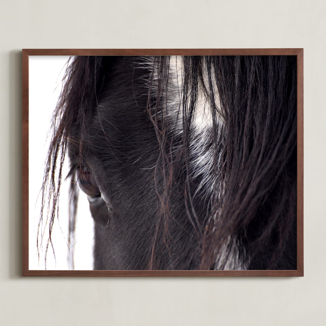 "Bucker" - Art Print in Wild Black by Leslie Le Coq - Framed
