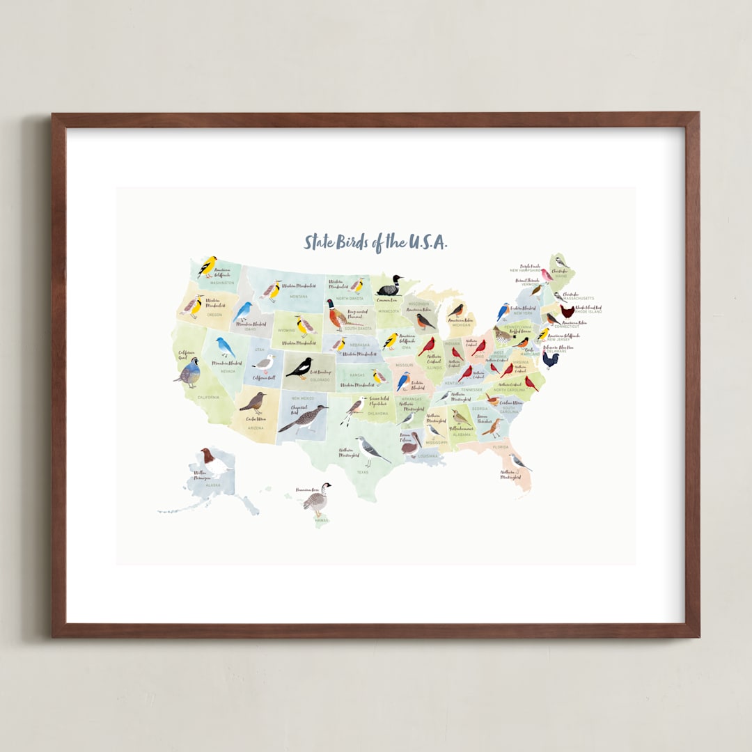 "State Birds of the USA" - Art Print in Natural by Cynthia Jacquette - Framed