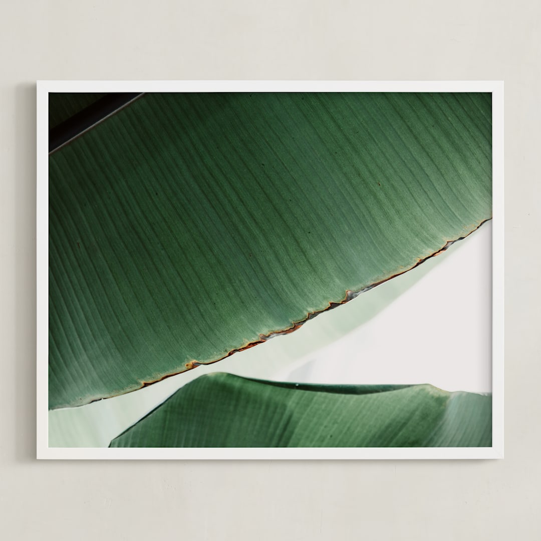 "leaf & light 1" - Art Print in deep ocean green by Alicia Abla - Framed