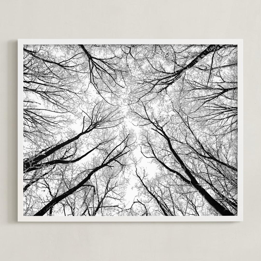 "Lost in the forest" - Art Print in Black and White by Magdalena Kucova - Framed
