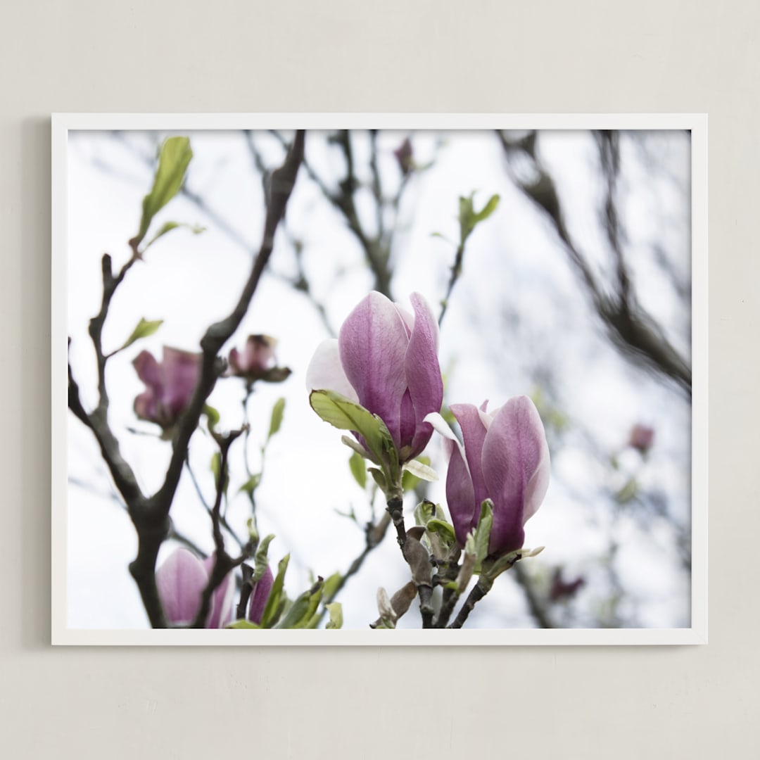 "Sugar Magnolia" - Art Print in Magnolia Pink by Karen Kaul - Framed