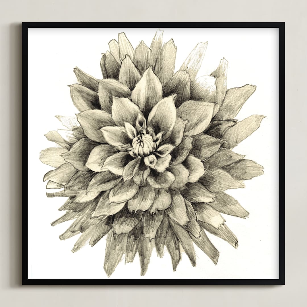 "Graphite Dahlia" - Art Print in graphite by Sonal Nathwani - Framed