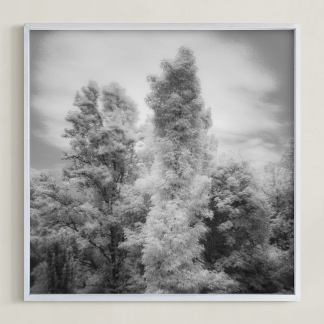 "InfraBotanical" - Art Print in Grey by Jeff Preuss - Framed