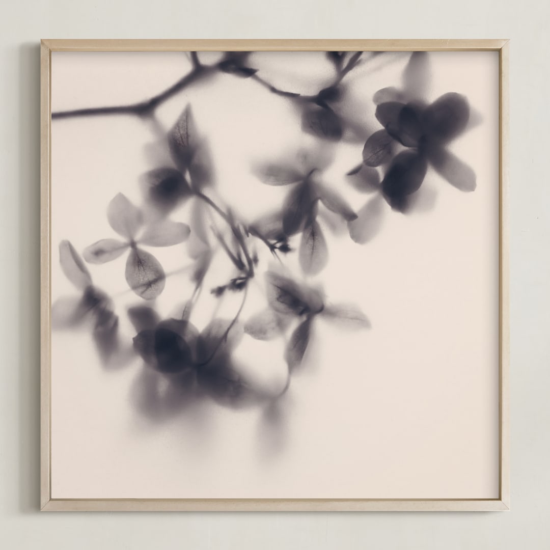 "Veiled Petals" - Art Print in Soft Pink by Karen Kardatzke - Framed