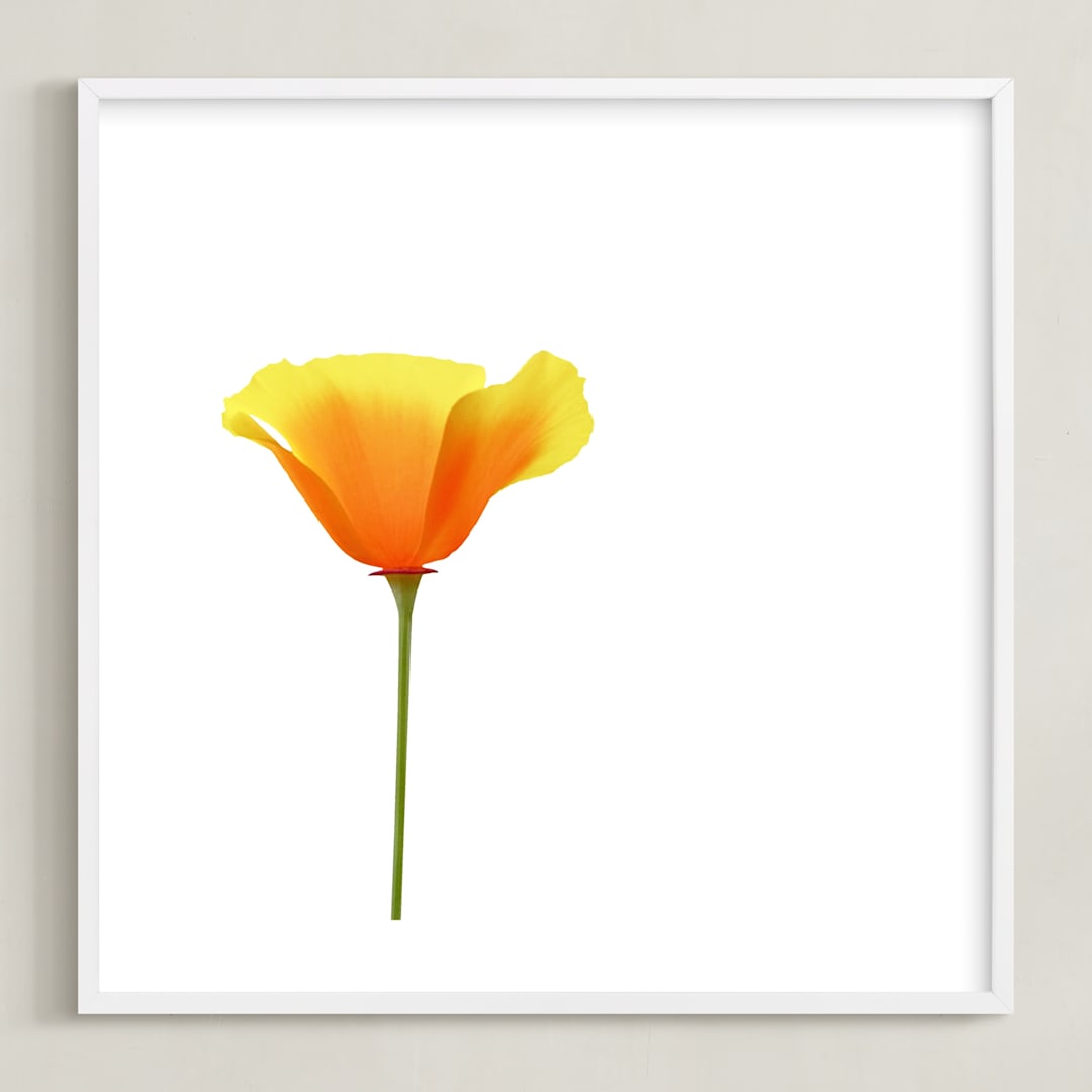 "California Poppy" - Art Print in Sparkling White by Corinne Aelbers - Framed