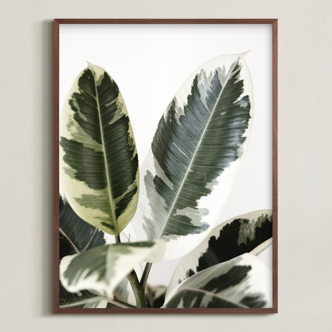 "Jack" - Art Print in variegated green by Kristi Jackson - Framed