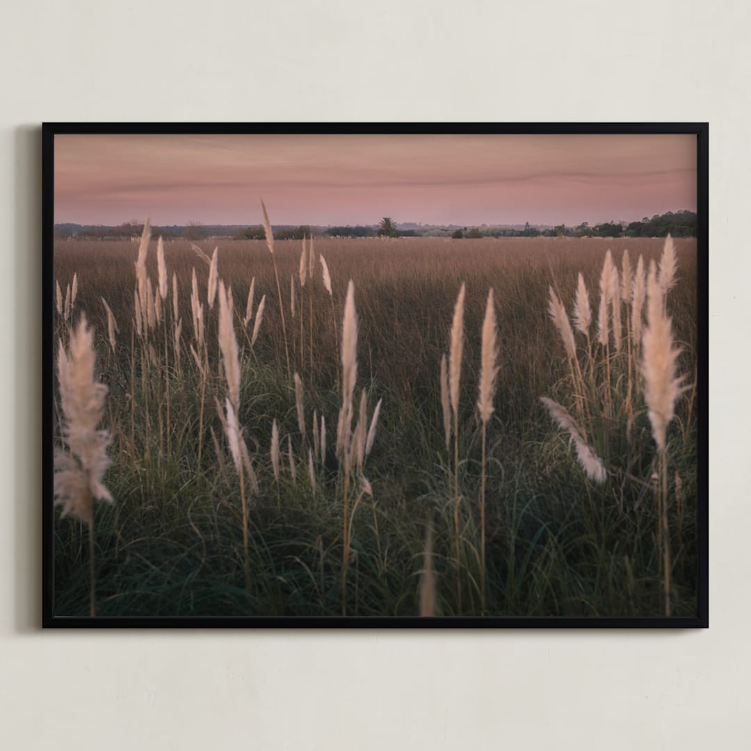 "Pampas grass" - Art Print in Sunset by Lucia Coppola - Framed
