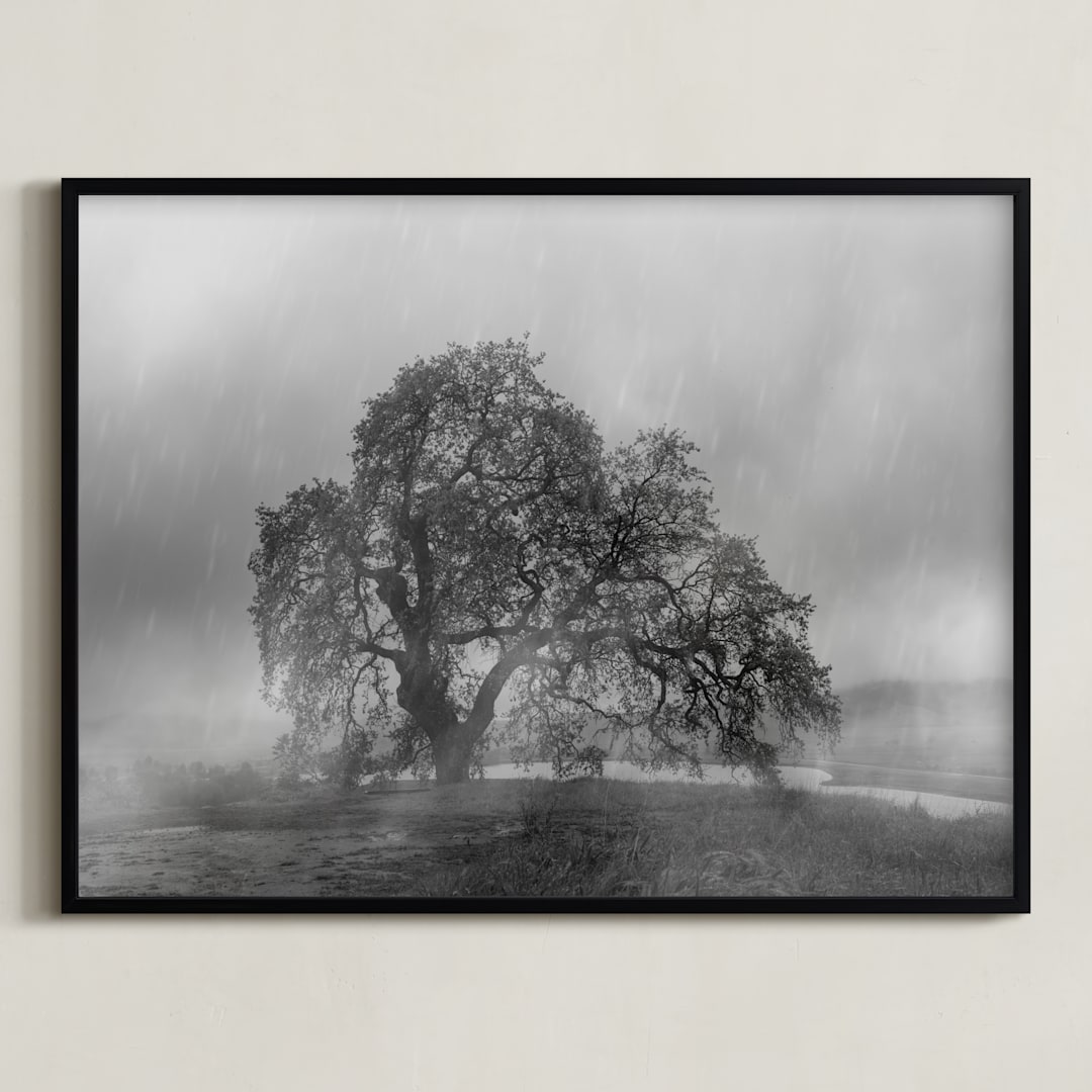 "in the rain" - Art Print in Stormy by Crystal Lynn Collins - Framed