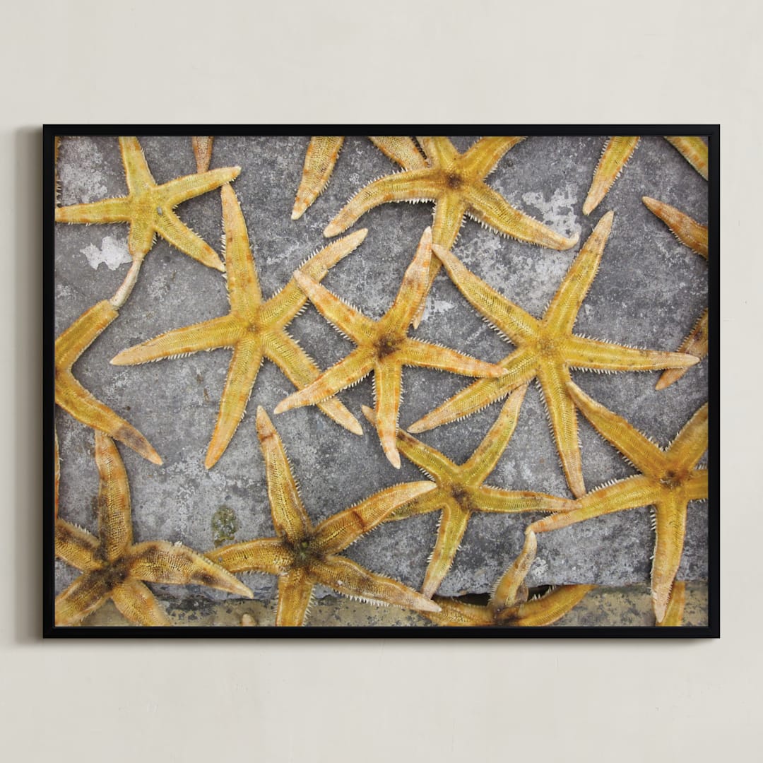 "sea stars" - Art Print in ochre by Julie Hebert - Framed