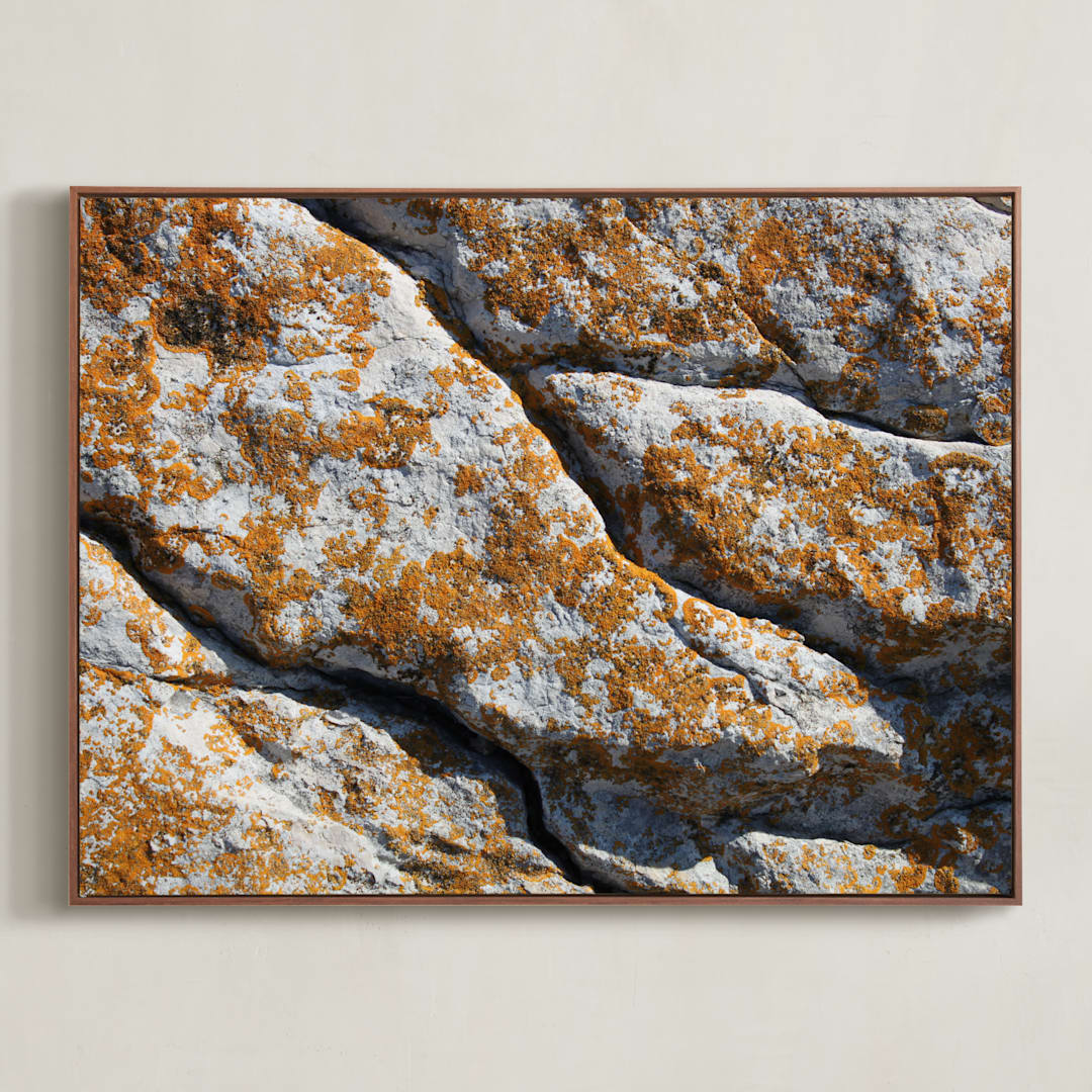 "Mediterranean Lichen" - Art Print in curcuma by Christiana Petschallies - Framed Canvas