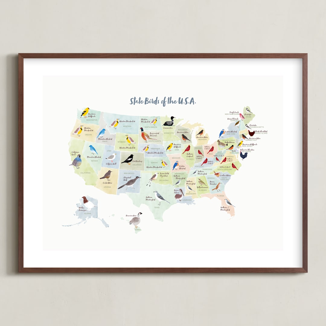 "State Birds of the USA" - Art Print in Natural by Cynthia Jacquette - Framed