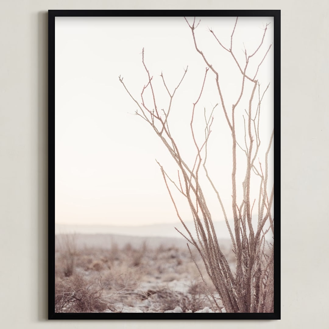 "Ocotillo I" - Art Print in desert blush by Kamala Nahas - Framed