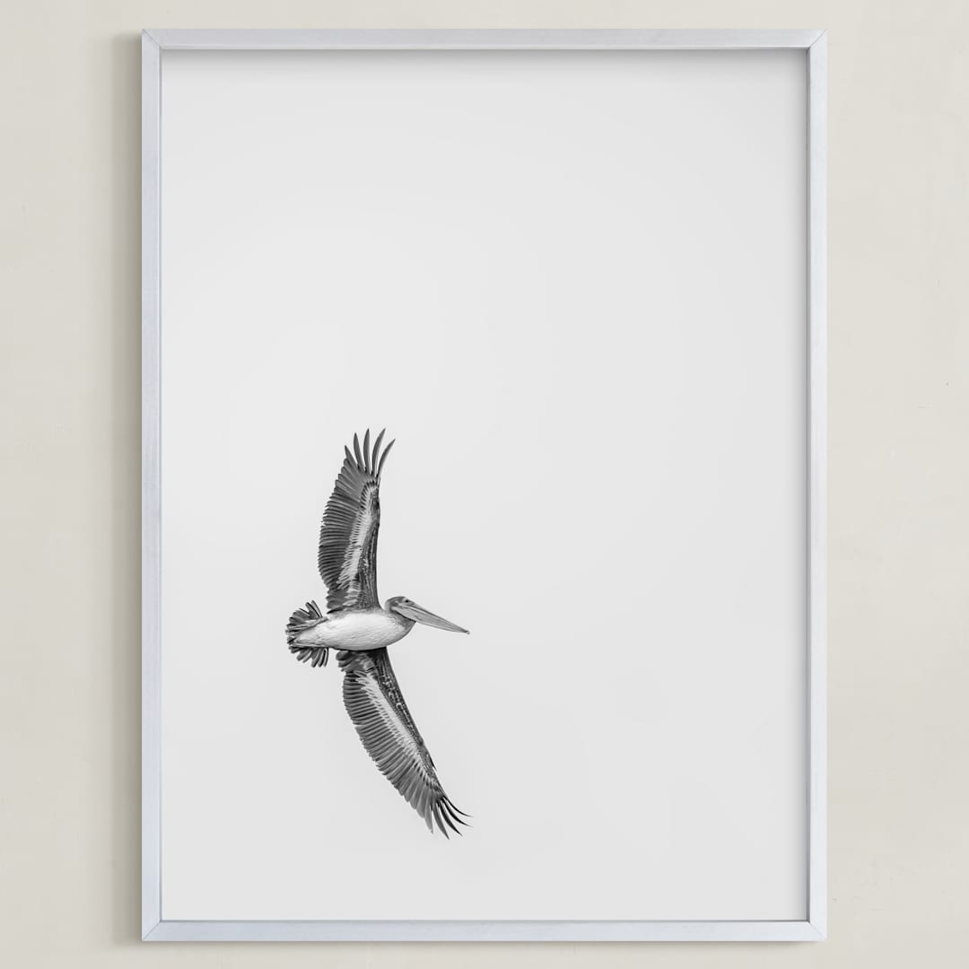 "Gliding Pelican Over Lake" - Art Print in Monochrome by Mary Ann Glynn-Tusa - Framed
