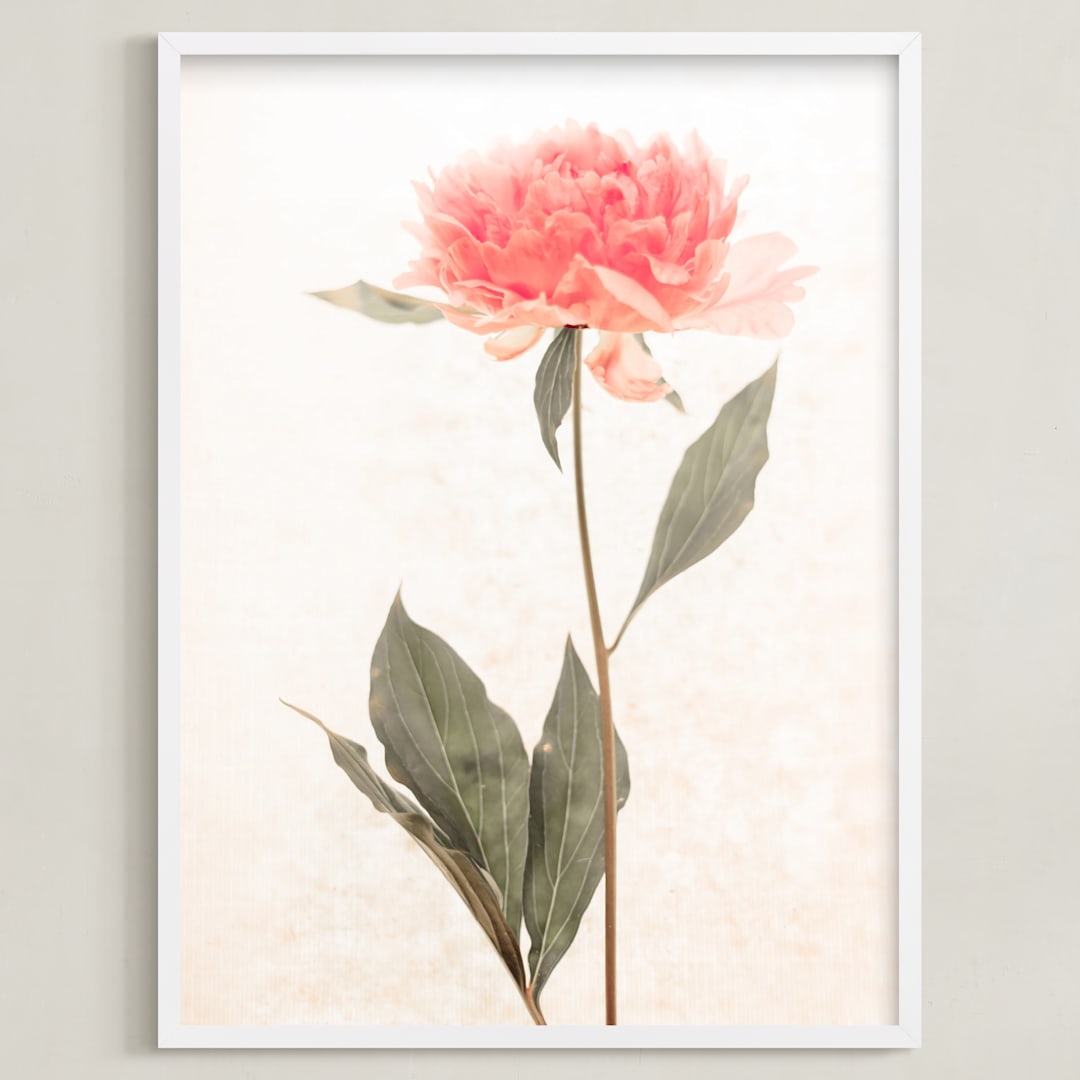 "a pink peony standing gracefully" - Art Print in vintage roseate by Qing Ji - Framed