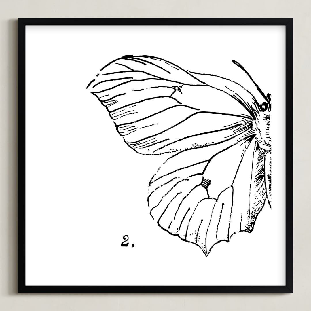 "Moth No. 2" - Art Print in Jet Black by Mere Paper - Framed