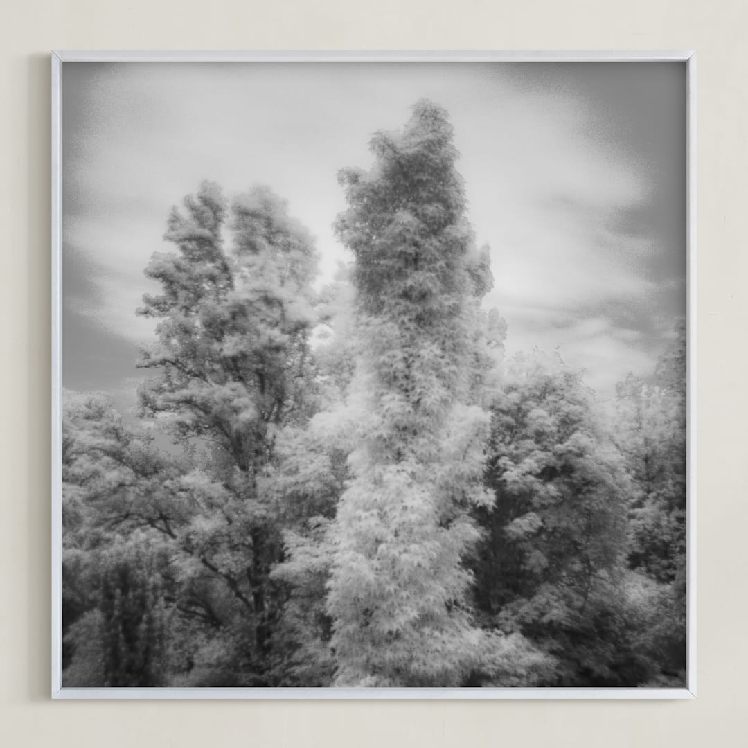 "InfraBotanical" - Art Print in Grey by Jeff Preuss - Framed
