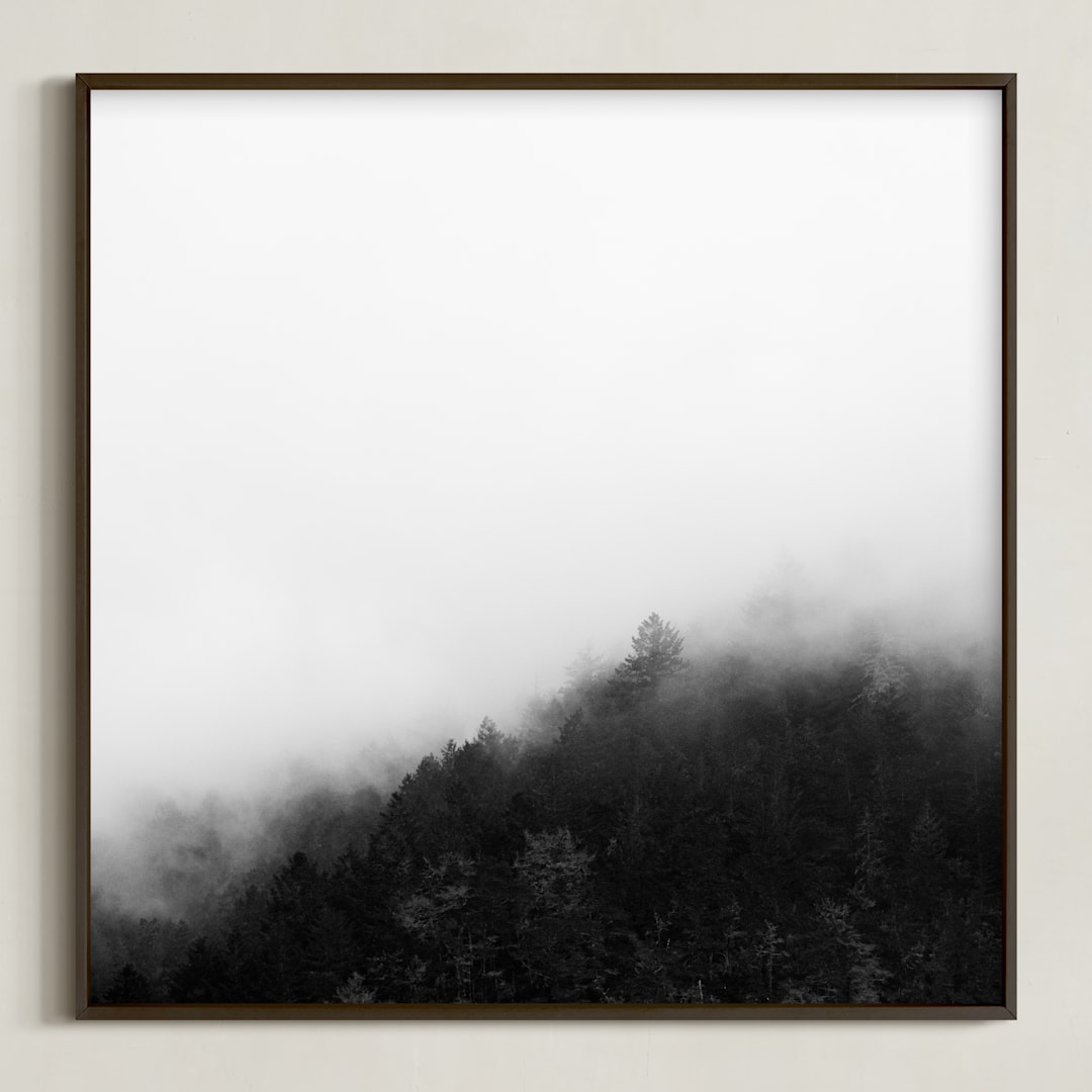 "Mystify" - Art Print in Black and White by Jessica C Nugent - Framed