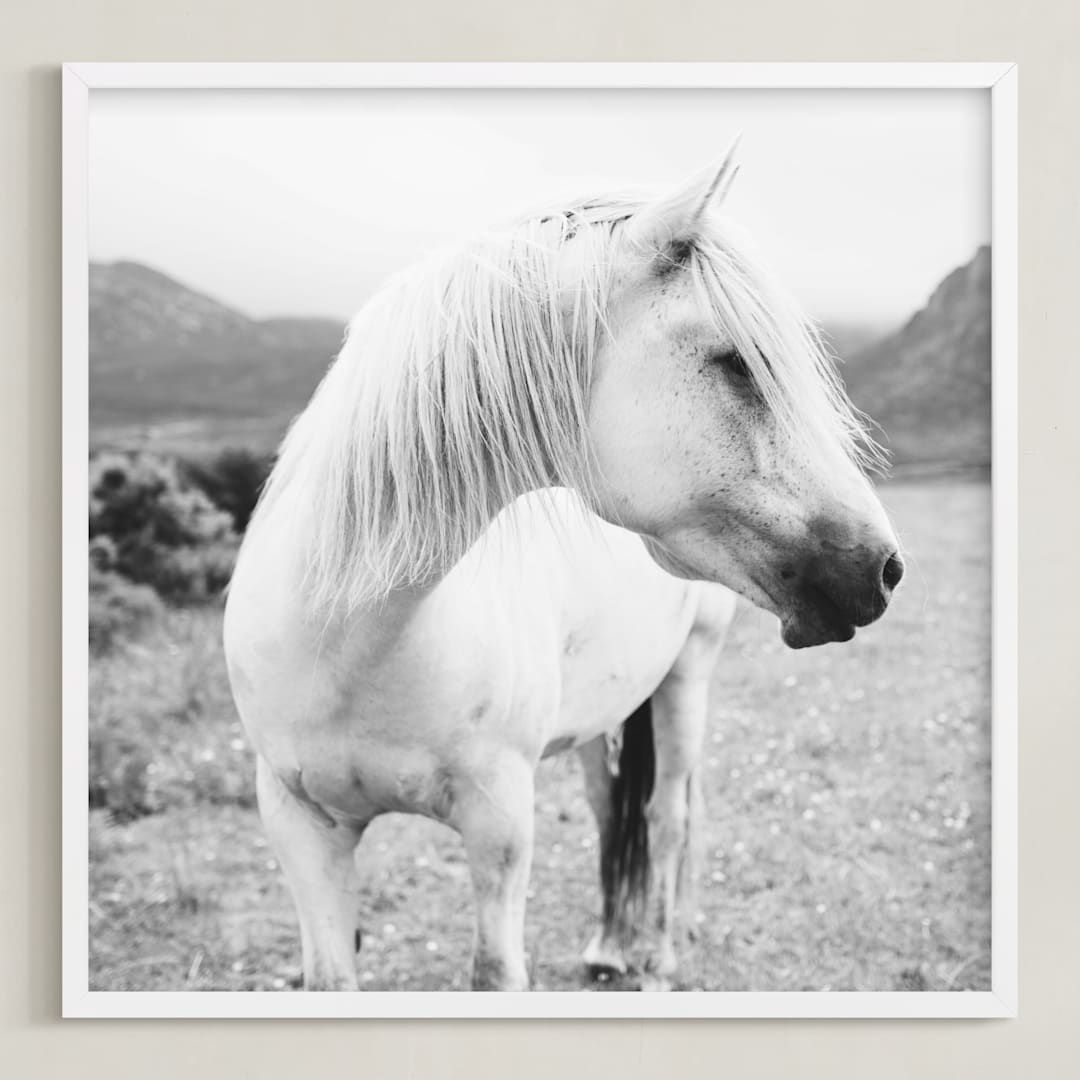 "Field Horse" - Art Print in Black and White by Natalie Uprichard - Framed