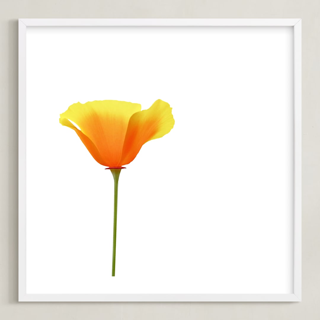 "California Poppy" - Art Print in Sparkling White by Corinne Aelbers - Framed