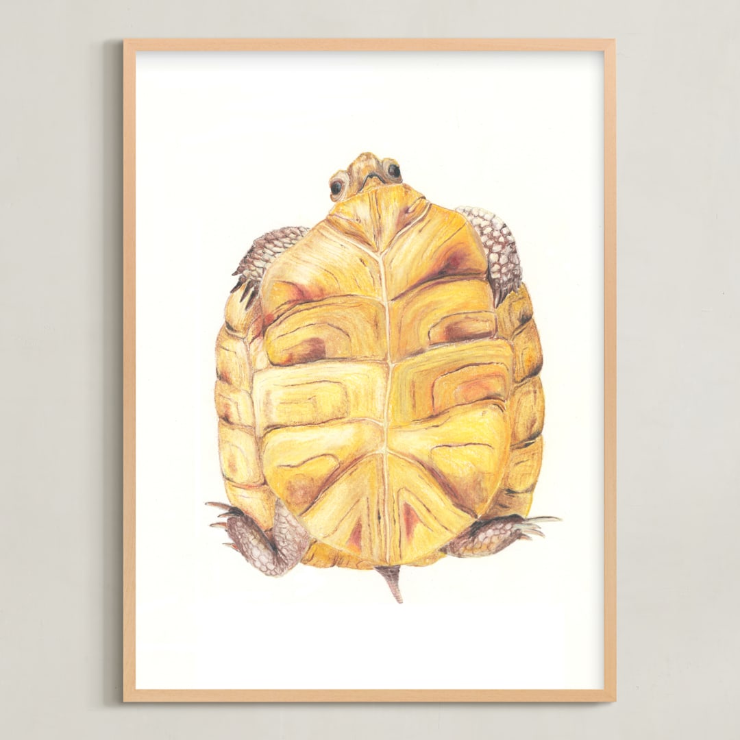 "The Admiral" - Art Print in Mustard Yellow by Brooke Bristow - Framed