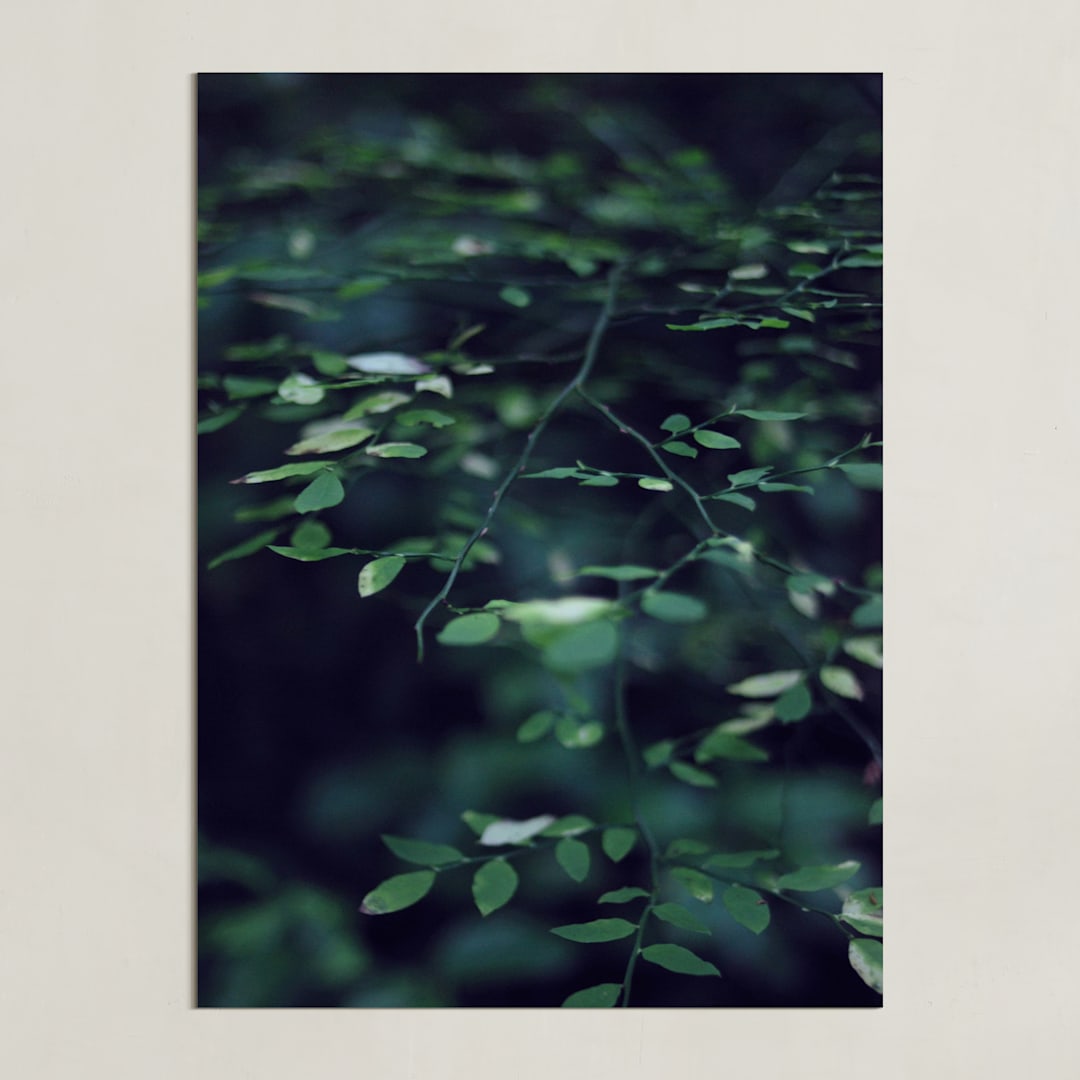 "Forest Focus" - Art Print in Deep Blue-Green by Satpreet K - Unframed