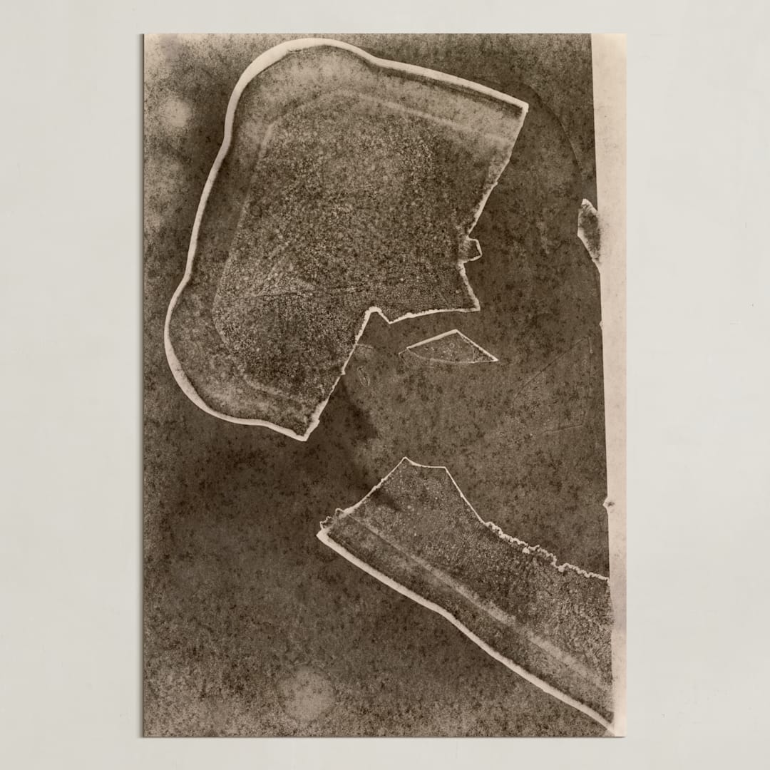 "convince" - Art Print in Sepia by raven erebus - Unframed