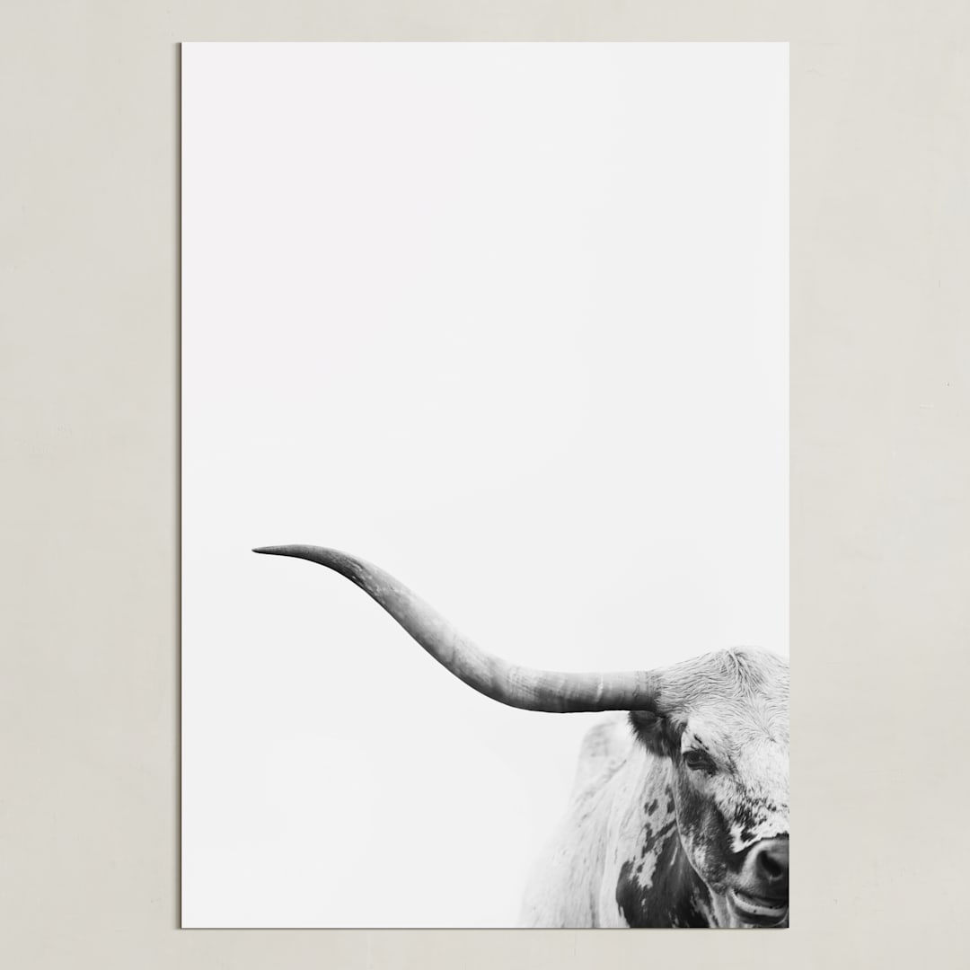"Brandir" - Art Print in Charcoal by Amy Carroll - Unframed